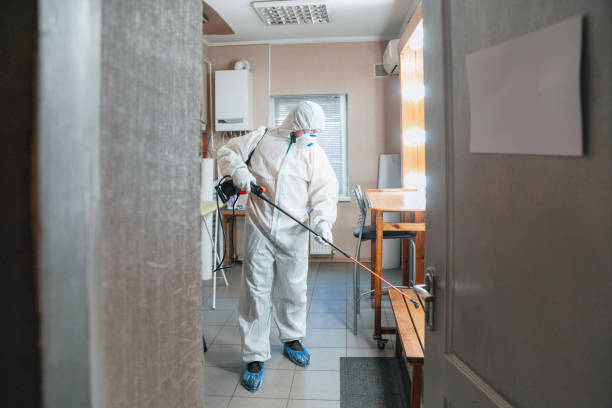 Best Water Damage & Mold Remediation  in Holladay, UT