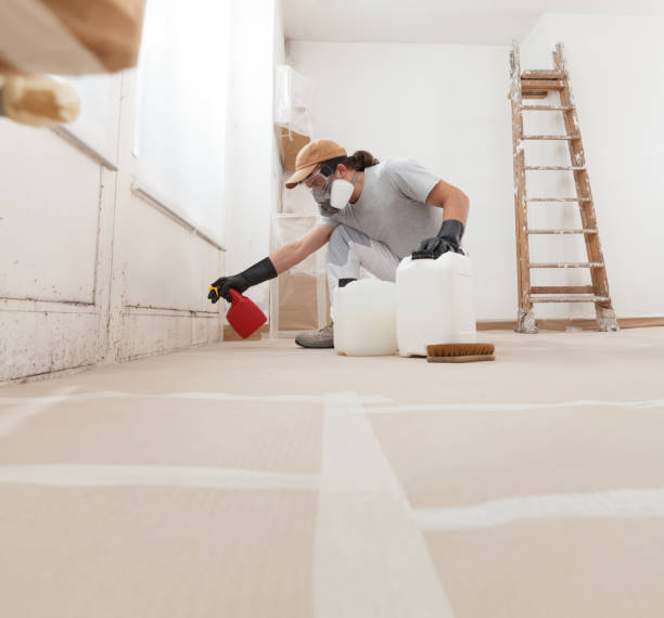 Best Environmental Consulting for Mold Prevention  in Holladay, UT
