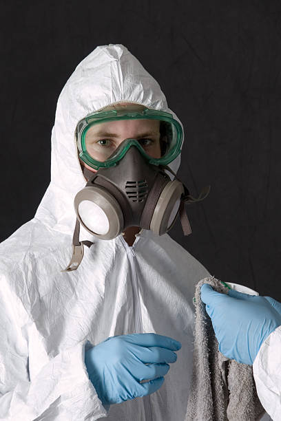 Best Basement Mold Removal  in Holladay, UT